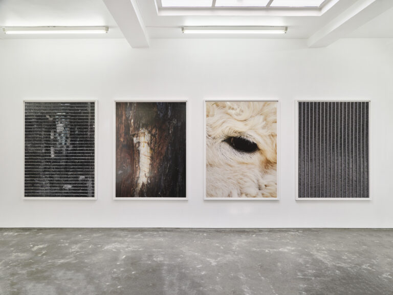 2023 BJARNE BARE med utstillingen “Moral Hazard” på OSLO contemporary 18.08-23.09